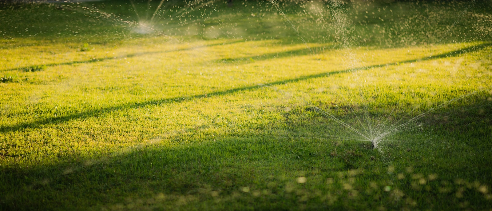 Pop-up sprinkler head spraying a clean arc over a green lawn at dusk.